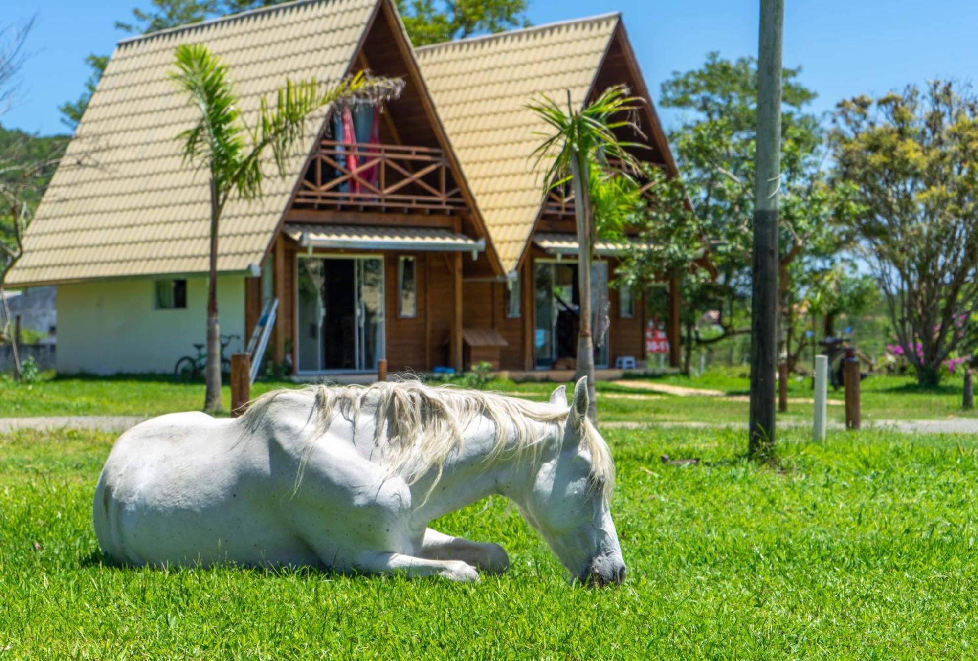 Villa Park Chales - A Sua Fazendinha Ao Lado Do Beto Carrero ペーニャ エクステリア 写真