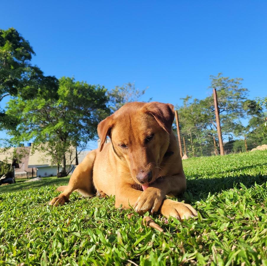 Villa Park Chales - A Sua Fazendinha Ao Lado Do Beto Carrero ペーニャ エクステリア 写真
